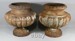 Pair Of Vases Garden, Planters, Cast Iron, Style Medicis Era XIX