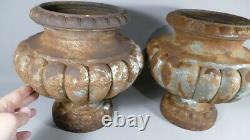 Pair Of Vases Garden, Planters, Cast Iron, Style Medicis Era XIX