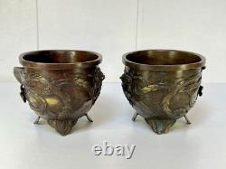 Pair of Bronze Cups from Asia, 19th Century, High Period Decor, Qilin & Phoenix, Japan, 19th Century