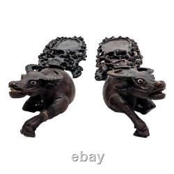 Pair of Indochinese Cows, 19th Century