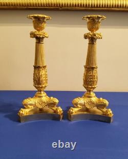Pair of Lion Leg Candle Holders in Chiseled and Gilded Bronze 19th Century