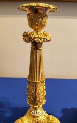 Pair of Lion Leg Candle Holders in Chiseled and Gilded Bronze 19th Century