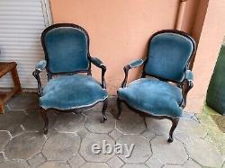 Pair of Napoleon III Armchairs in Rosewood and Pear Wood, 19th Century