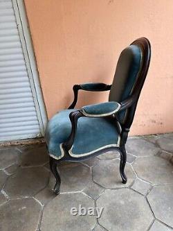 Pair of Napoleon III Armchairs in Rosewood and Pear Wood, 19th Century