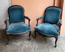 Pair of Napoleon III armchairs in rosewood and pear wood, 19th century period.