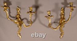 Pair of Wall Sconces in Chinese Style Louis XV in Gilt Bronze, 19th Century