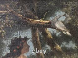 Rare oil nude reclining in a forest, looking at a pair of birds, 19th century