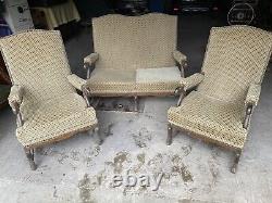 Salon, Sofa And 2 Louis XIV Os De Mouton Style Armchairs 19th Century