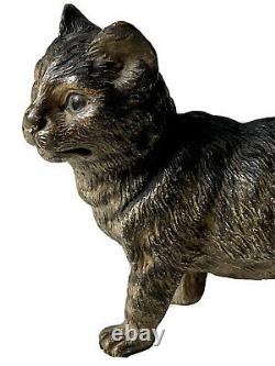 Sculpture Bronze Of Vienna Polychrome Signed Geschützt Chat Chaton Epoque XIX Ème