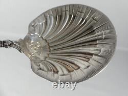 Solid Silver Strawberry Spoon Shaped Shell, Late 19th Century