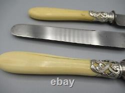 Suite Of Twelve Bone-and-silver-armed Knives 19th Veyrat Paris