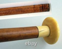 Walking cane with Malacca cane shaft, numbered pommel, 19th century period