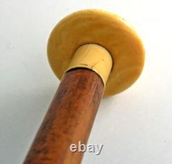 Walking cane with Malacca cane shaft, numbered pommel, 19th century period
