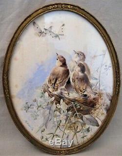 Watercolor Oval Signed Hector Giacomelli Birds Era Nineteenth Century
