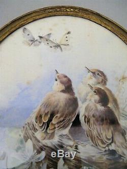Watercolor Oval Signed Hector Giacomelli Birds Era Nineteenth Century