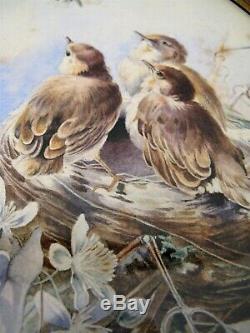 Watercolor Oval Signed Hector Giacomelli Birds Era Nineteenth Century