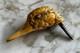 Ancien Pommeau De Canne TÊte De Canard Époque Xixème Antique Duck Walking Stick