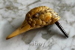 ANCIEN POMMEAU DE CANNE TÊTE DE CANARD ÉPOQUE XIXème ANTIQUE DUCK WALKING STICK