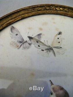 Aquarelle ovale signée Hector Giacomelli les oiseaux époque XIX ème siècle