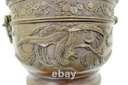 Cache pot bronze chine chinese bronze art antique chine phénix époque XIXème