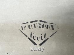 Docteur Auzoux / affiche pédagogique parasitologie Mouches XIXème médecine