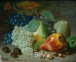 EH Nature morte aux fruits raisins poires Epoque Second Empire HSP XIXème siècle