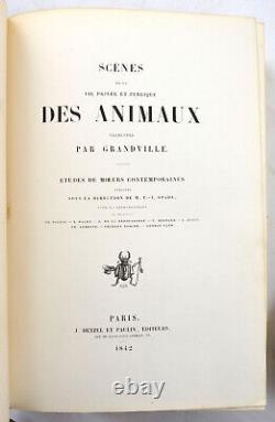 GRANDVILLE Scènes de la vie privée et publique des animaux 1842 reliure époque