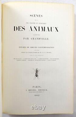 GRANDVILLE Scènes de la vie privée et publique des animaux 1842 reliure époque