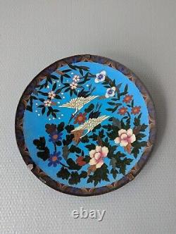 Grand plat cloisonné émaillé XIXème siècle, époque Meiji, Japon