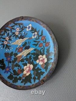 Grand plat cloisonné émaillé XIXème siècle, époque Meiji, Japon