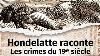 Hondelatte Raconte 7 Histoires De Crimes Du 19e Si Cle