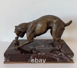 Le Bulldog Et La Souris, Sujet En Bronze d époque de la fin XIX ème