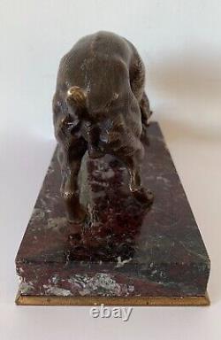 Le Bulldog Et La Souris, Sujet En Bronze d époque de la fin XIX ème