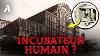 Les Palais De Cristal Du Xixe Si Cle Sont Des Incubateurs Pour Faire Pousser Des Humains