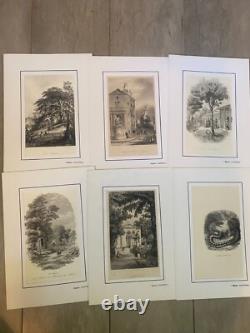 Lot de 60 gravures animalières XIXe siècle Époque Louis-Philippe
