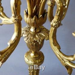 Paire De Chandeliers Candélabres Louis XVI En Bronze Doré, époque XIX ème