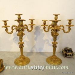 Paire de Candélabres Bronze époque XIXéme Parfait état plusieurs hauteur possibl