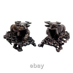 Paire de vaches indochinoises époque XIX ème