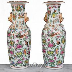 Paire de vase chinois en Canton aux oiseaux époque XIXème