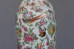 Paire de vase chinois en Canton aux oiseaux époque XIXème