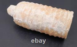 Rare canalisation en terre cuite d'époque Gallo-romaine Longueur 153 mm, D53 mm