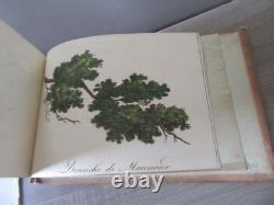 Recueil 1860 De 22 Gravures Colorees D Epoque Le Jeune Dessinateur